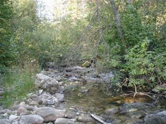 0 Murphy Road Kettle Falls, WA 99141 - Photo 3 of 8 Gallery Image 3