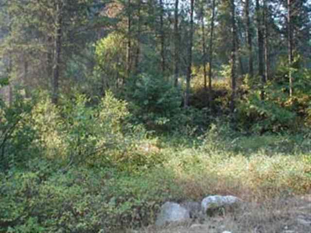 0 Murphy Road Kettle Falls, WA 99141 - Photo 5 of 8 Gallery Image 5