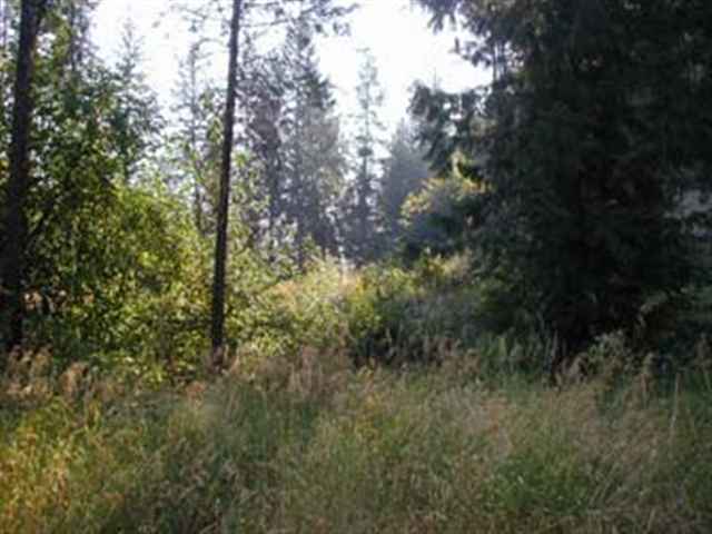 0 Murphy Road Kettle Falls, WA 99141 - Photo 6 of 8 Gallery Image 6