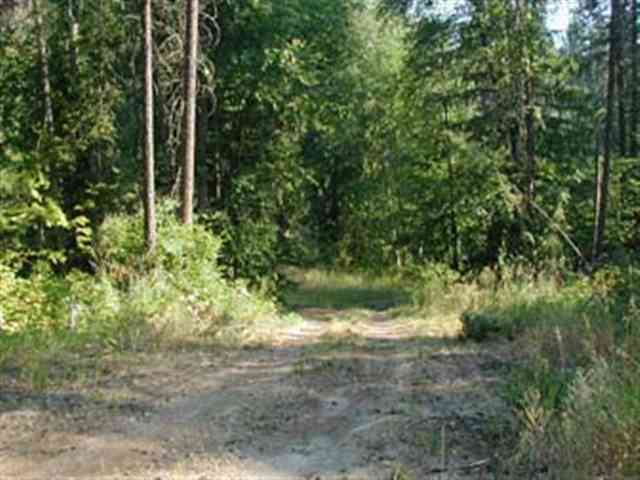 0 Murphy Road Kettle Falls, WA 99141 - Photo 7 of 8 Gallery Image 7