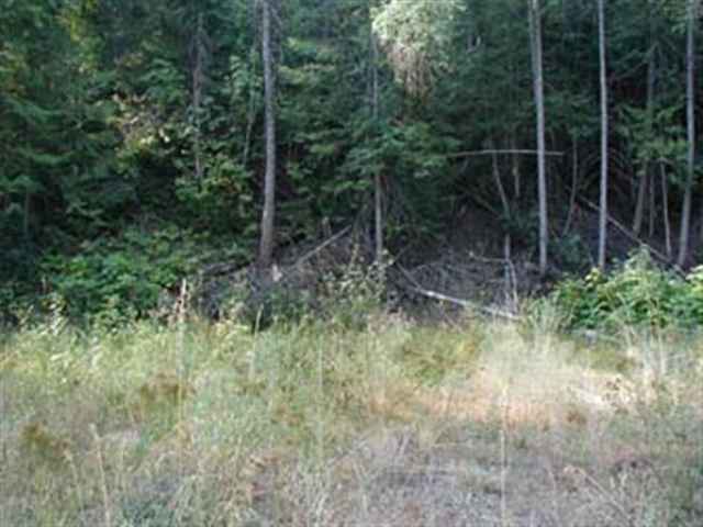 0 Murphy Road Kettle Falls, WA 99141 - Photo 8 of 8 Gallery Image 8