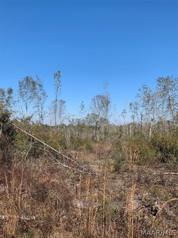 0 Old Three Notch Road Brantley, AL 36009 - Photo 7 of 14 Gallery Image 7