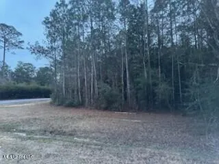 $64,410 | Rouses Marina Road, Vancleave, MS 39565
