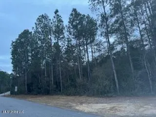 $64,410 | Rouses Marina Road, Vancleave, MS 39565