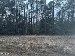 $64,410 | Rouses Marina Road, Vancleave, MS 39565