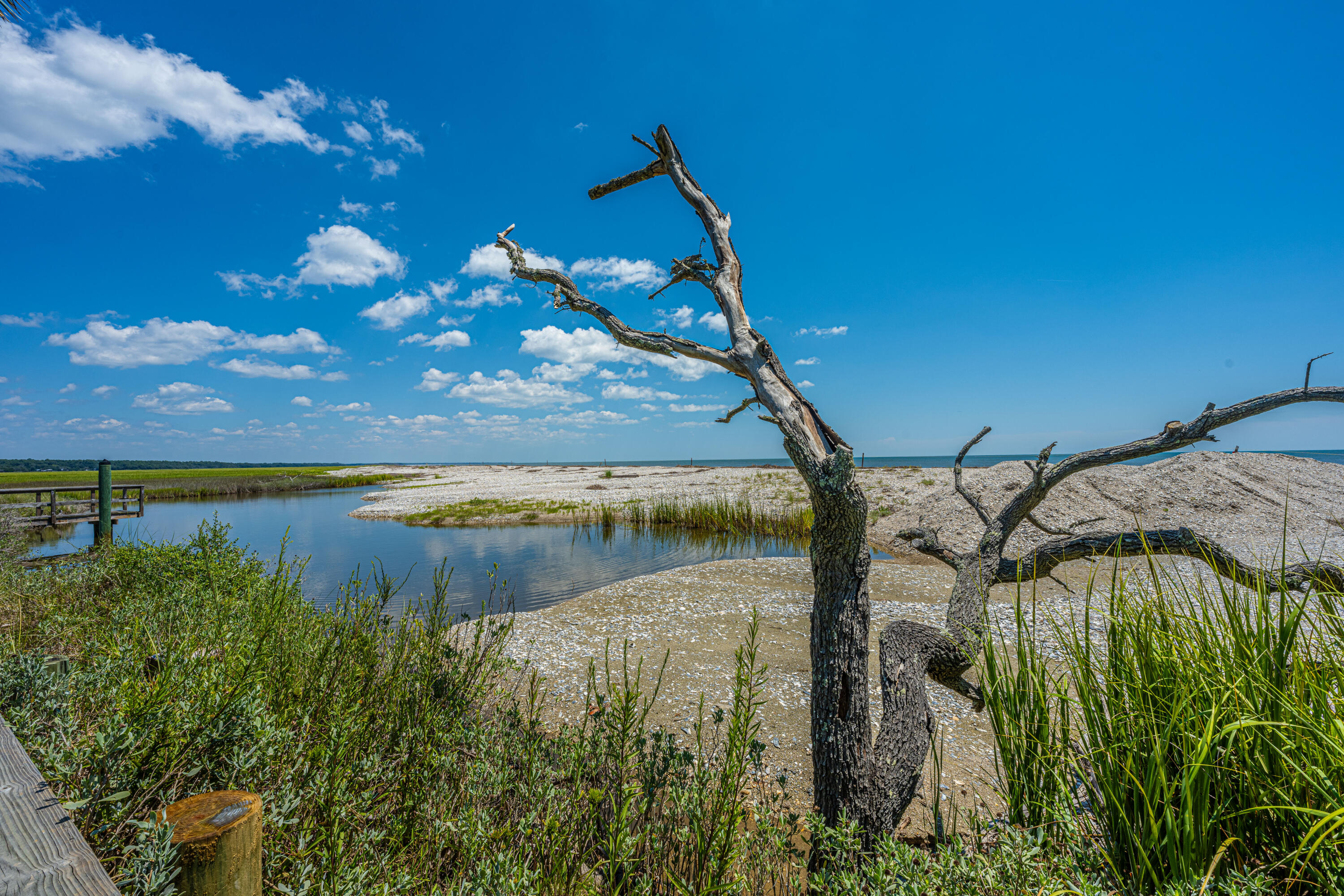 1A Jeremy Cay Edisto Island, SC 29438 - Photo 82 of 87 1JeremyCay108