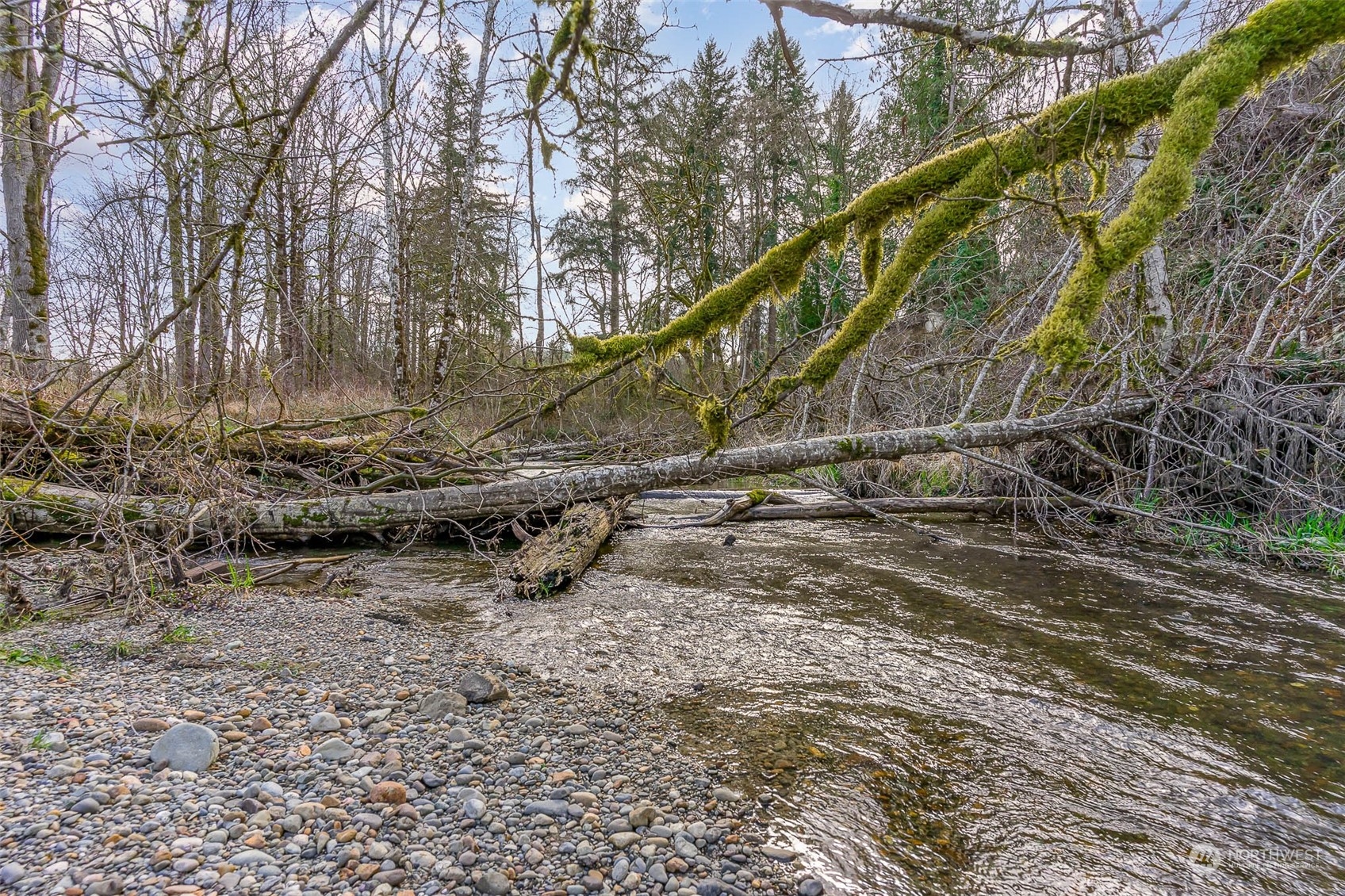 15503 Cedar Grove Road Southeast Issaquah, WA 98027 - Photo 24 of 27 a view of bridge and trees