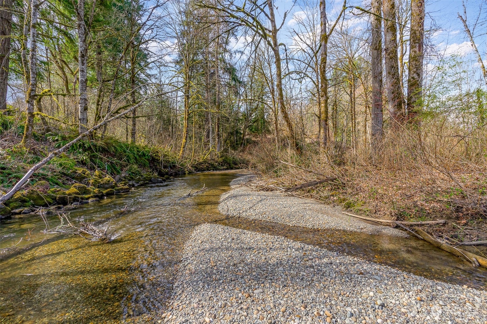 15503 Cedar Grove Road Southeast Issaquah, WA 98027 - Photo 25 of 27 a view of backyard of a house