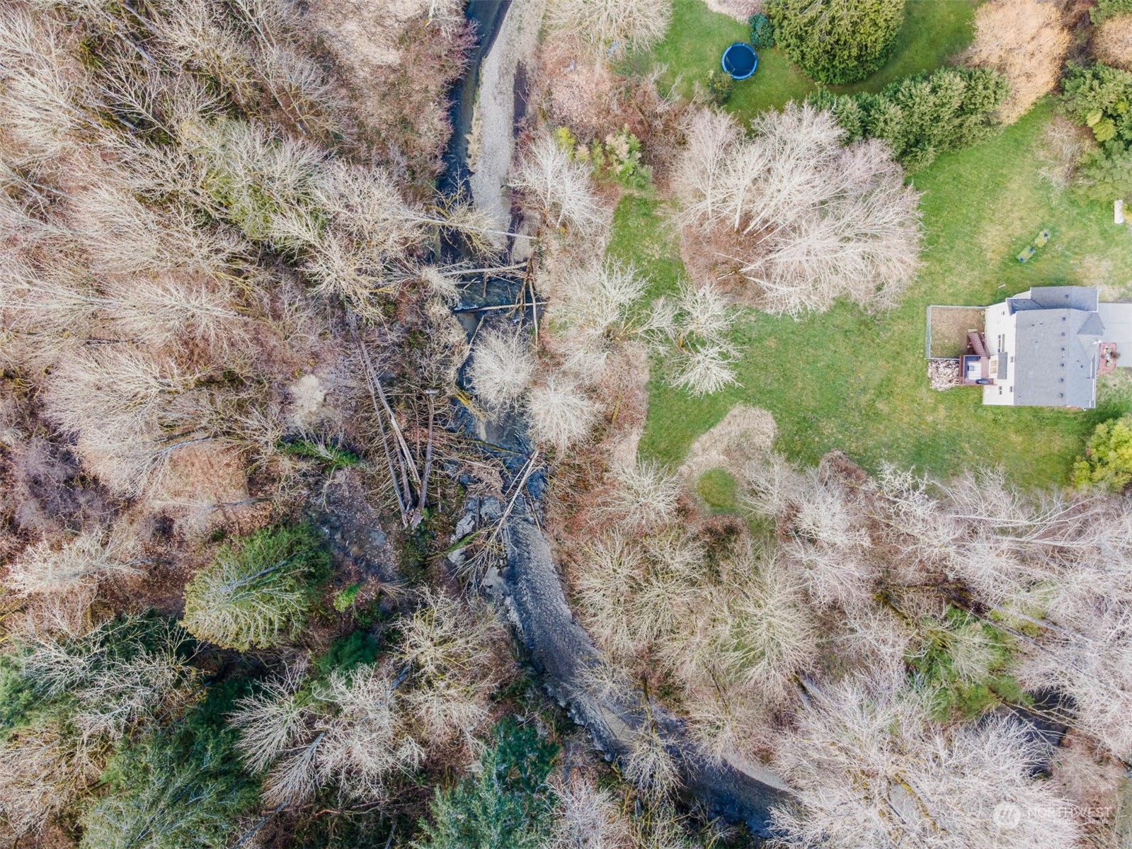 15503 Cedar Grove Road Southeast Issaquah, WA 98027 - Photo 3 of 27 a backyard of a house with a yard and large trees