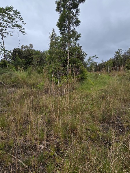 6 Huina Road Mountain View, HI 96771 - Photo 2 of 3