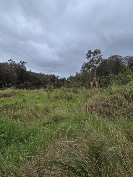 6 Huina Road Mountain View, HI 96771 - Photo 3 of 3