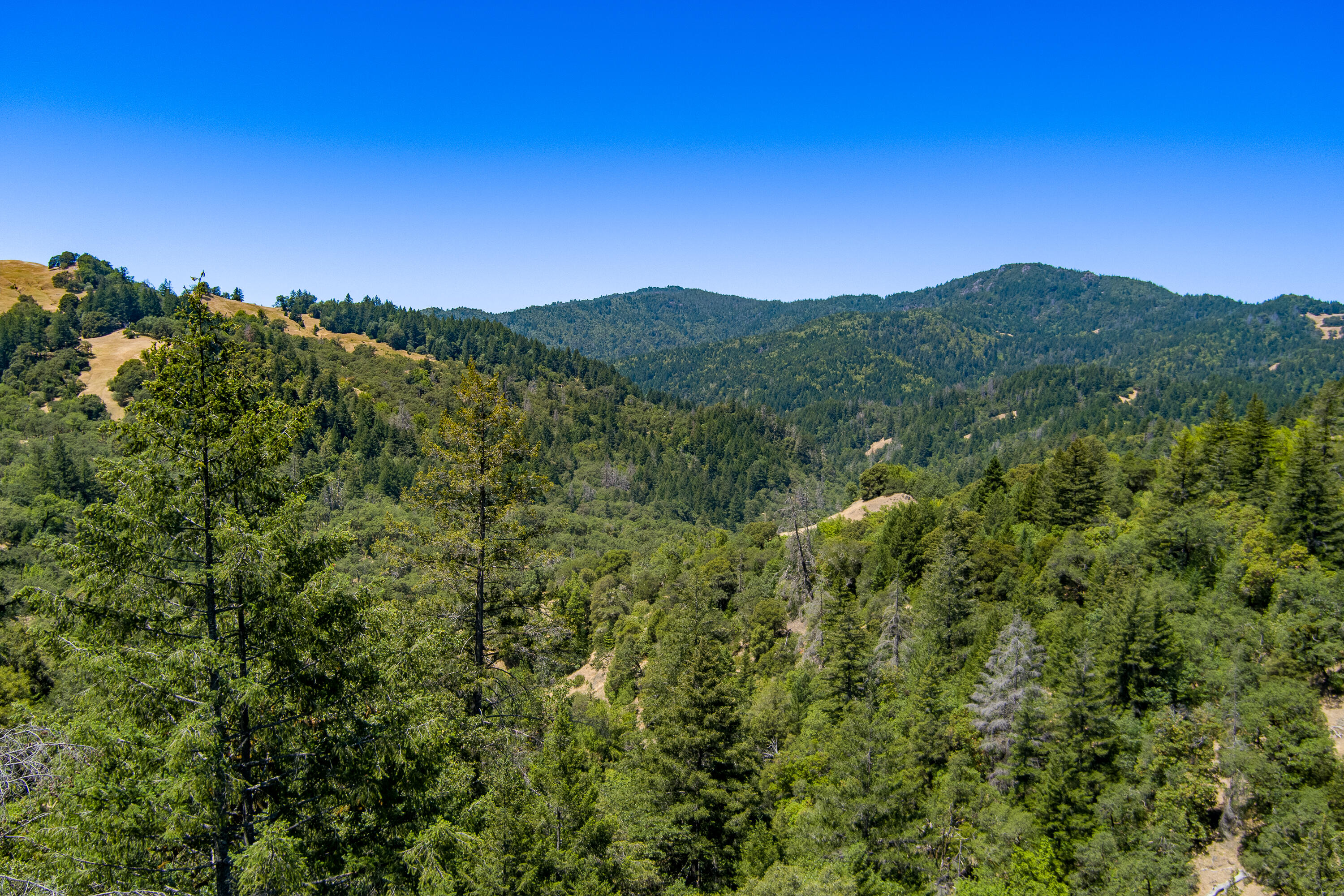 60890 Bell Springs Road Laytonville, CA 95454 - Photo 74 of 77 a view of a city with lush green forest