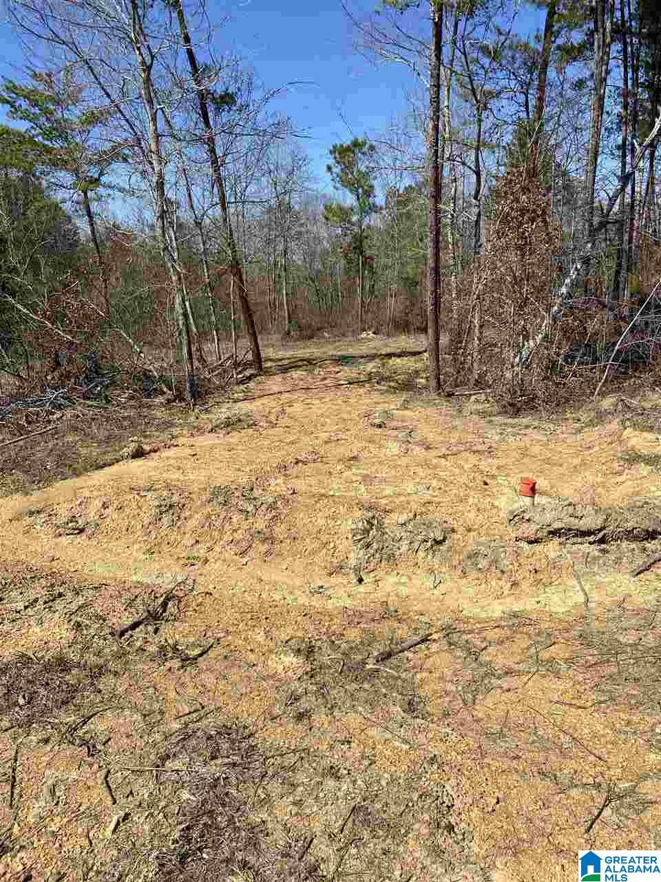 500 Smith Road Trafford, AL 35172 - Photo 3 of 5