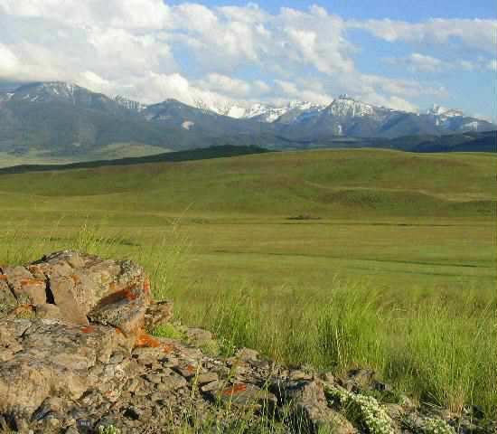 Tbd Basin Trail Road, Unit 3 Livingston, MT 59047 - Photo 1 of 1 Gallery Image 1