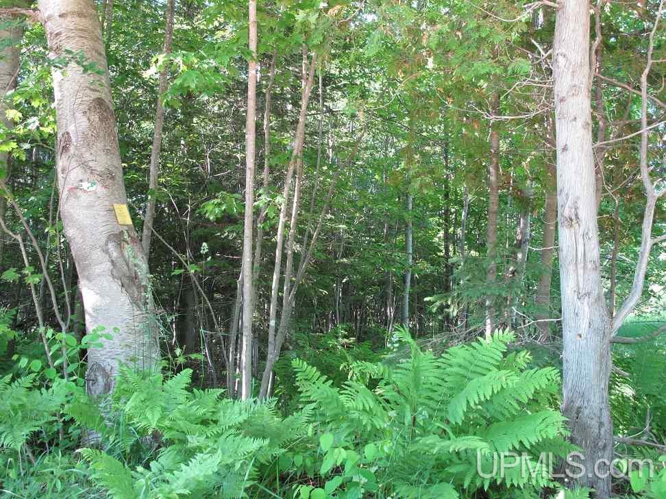 Webb Road, Unit 6 Grand Marais, MI 49839 - Photo 3 of 6 Gallery Image 3