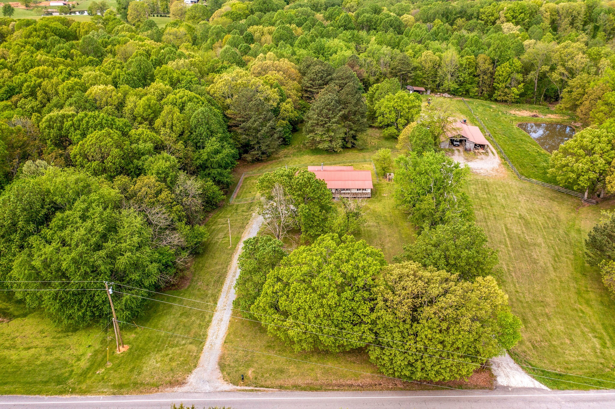 a view of a yard with plants