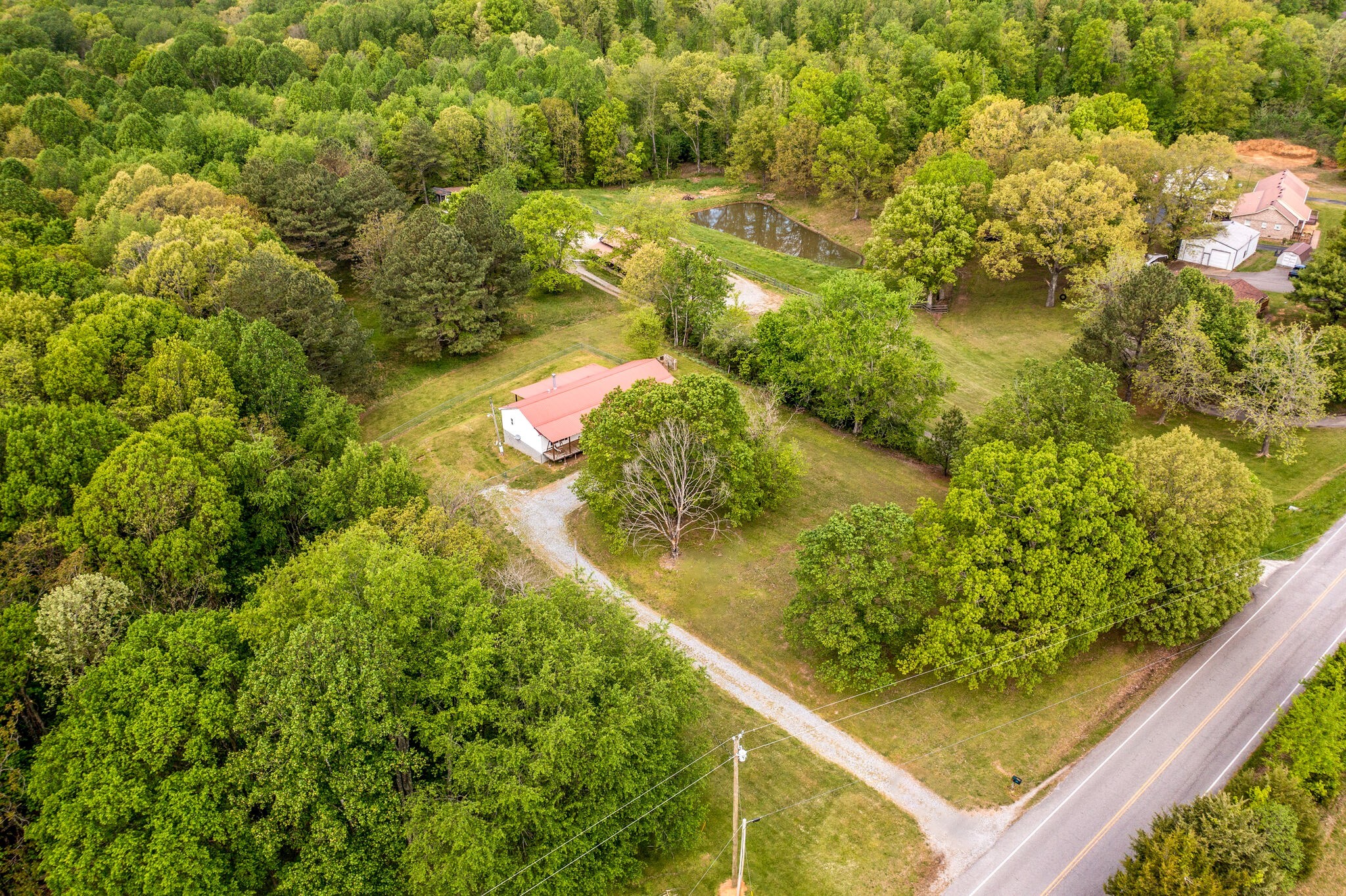 7289 Anderson Road Fairview, TN 37062 - Photo 3 of 51 a view of banana tree