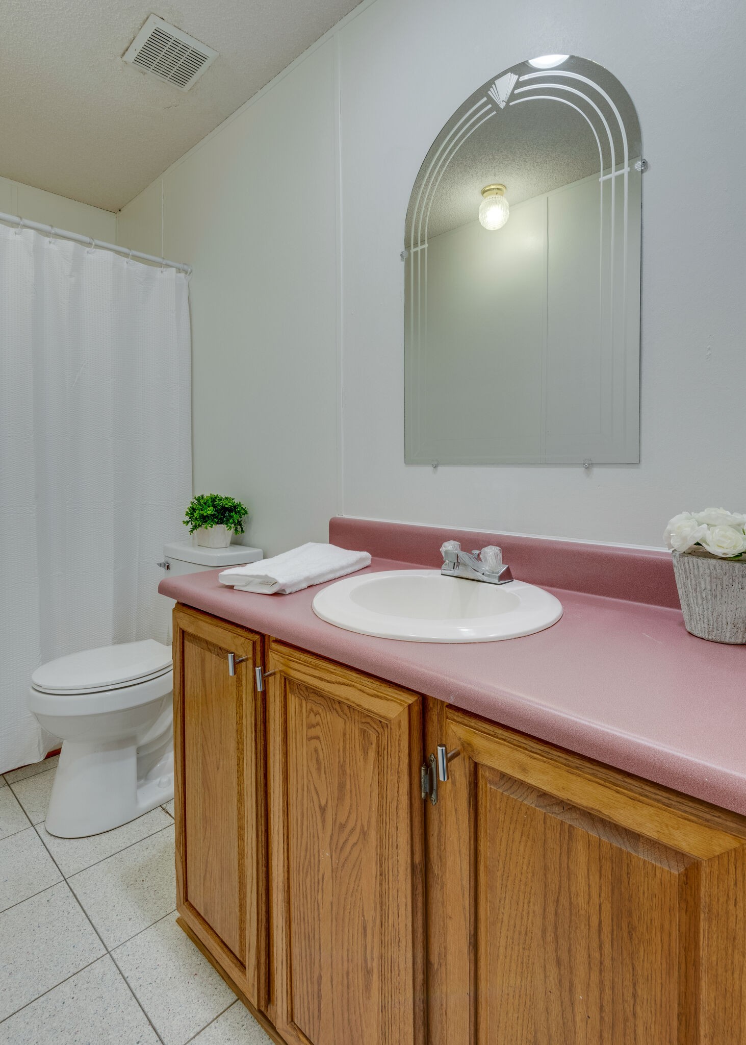 7289 Anderson Road Fairview, TN 37062 - Photo 37 of 51 a bathroom with a sink a toilet and mirror