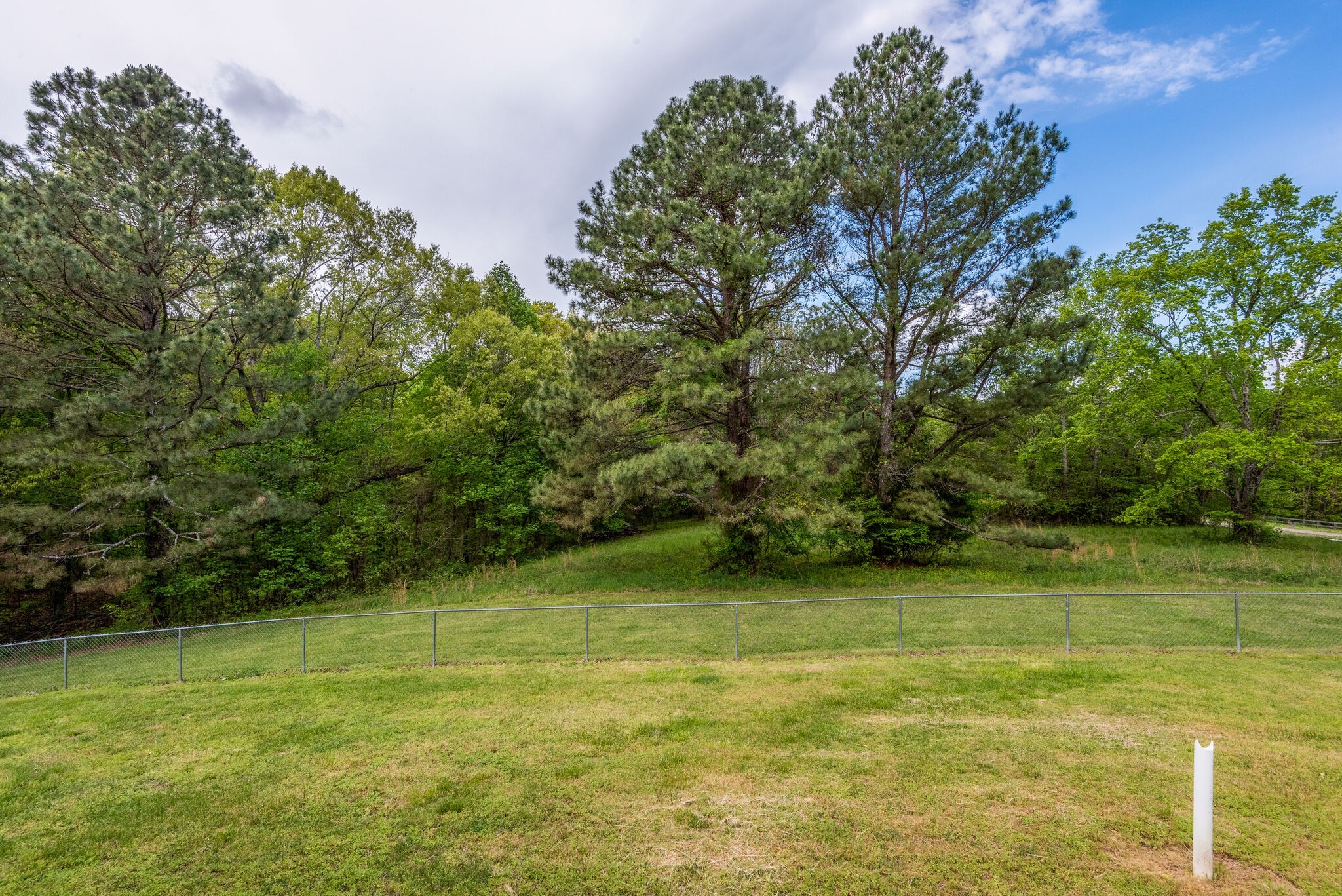 7289 Anderson Road Fairview, TN 37062 - Photo 40 of 51 a view of a green yard with a house and large trees