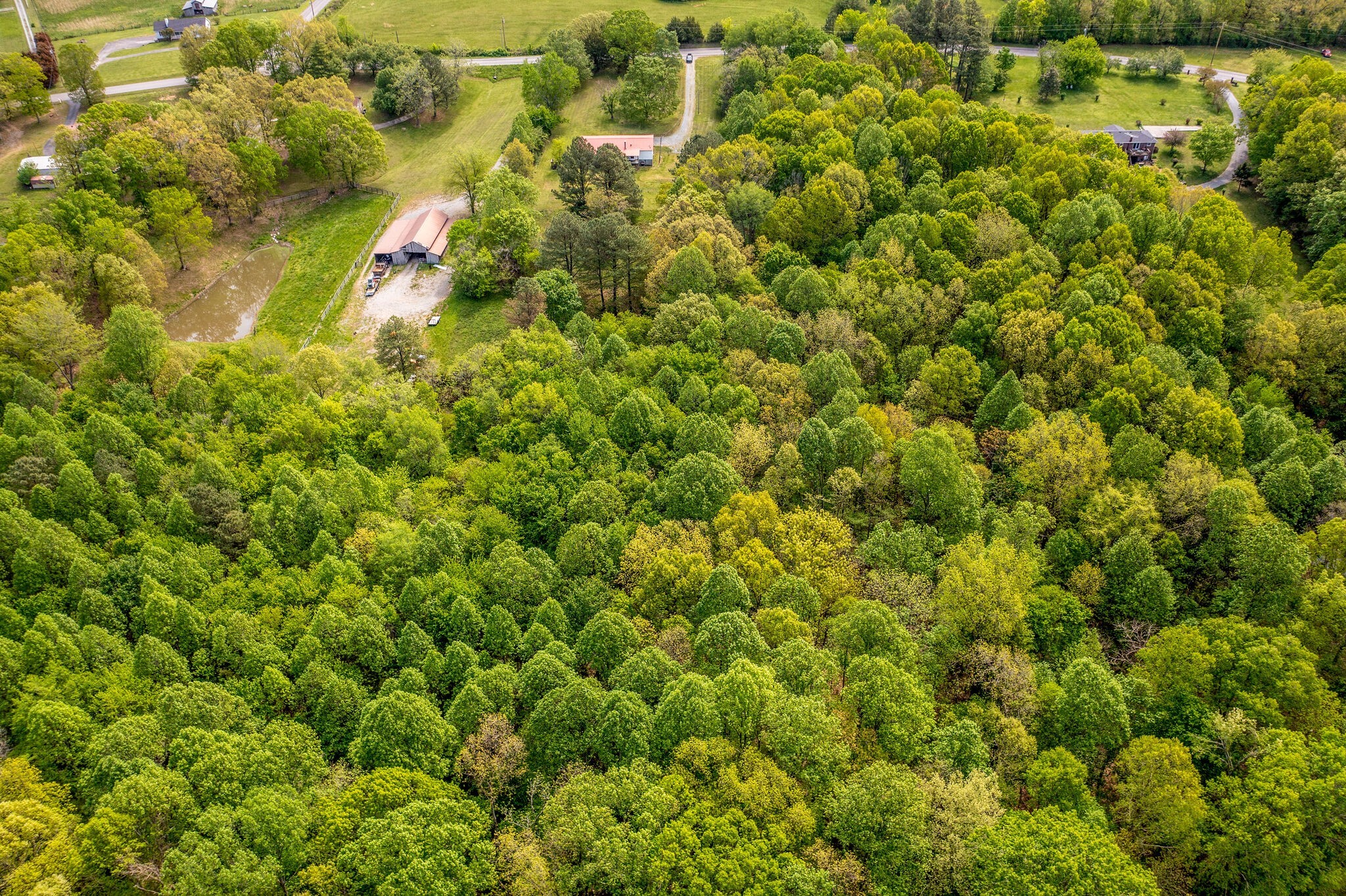7289 Anderson Road Fairview, TN 37062 - Photo 49 of 51 a view of a big yard with plants and large trees