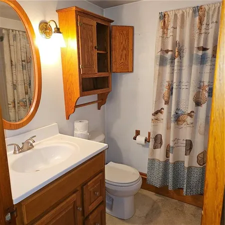 a bathroom with a sink a toilet and shower curtain