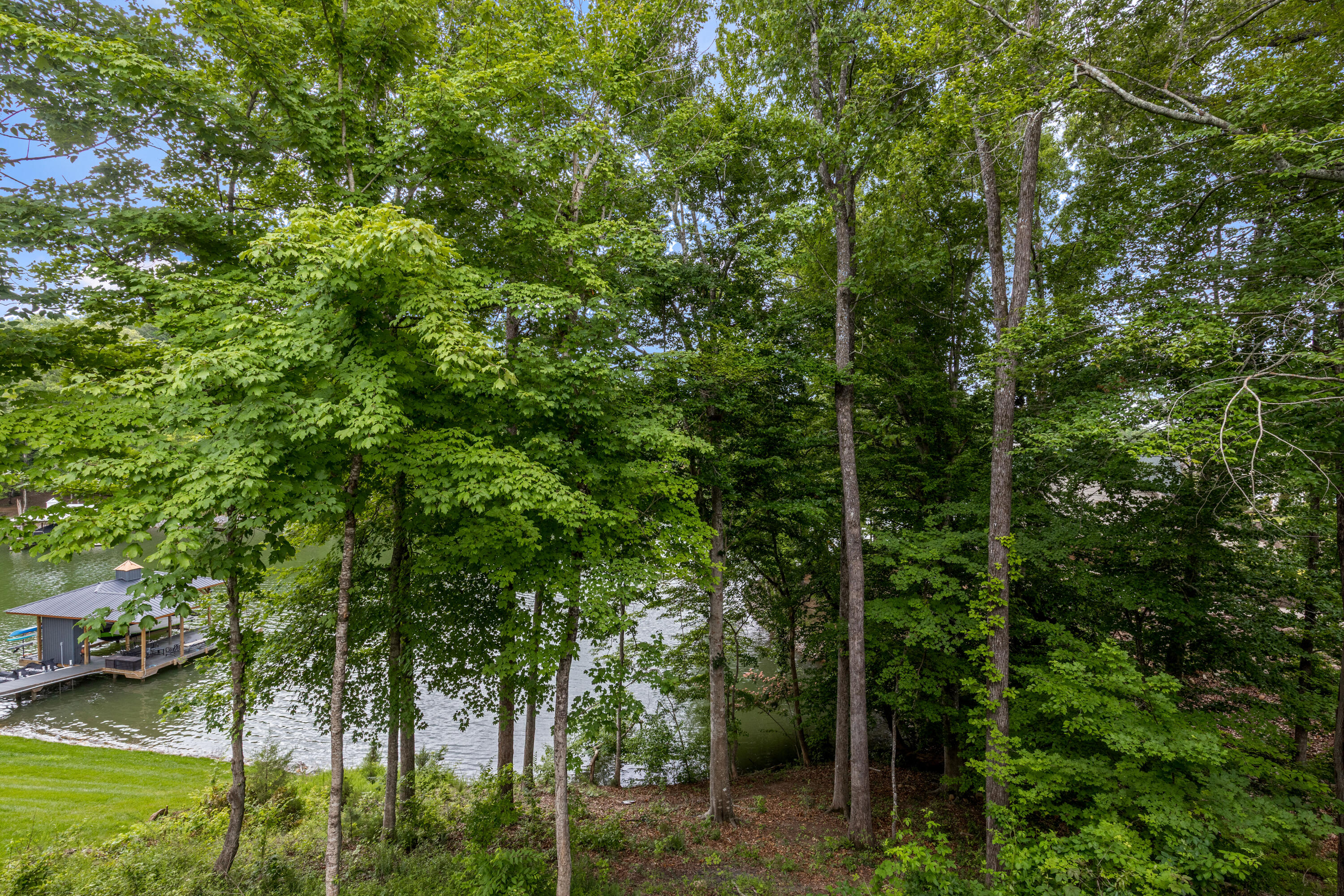 463 Waterfront Way Ten Mile, TN 37880 - Photo 4 of 78 WaterfrontNew-11