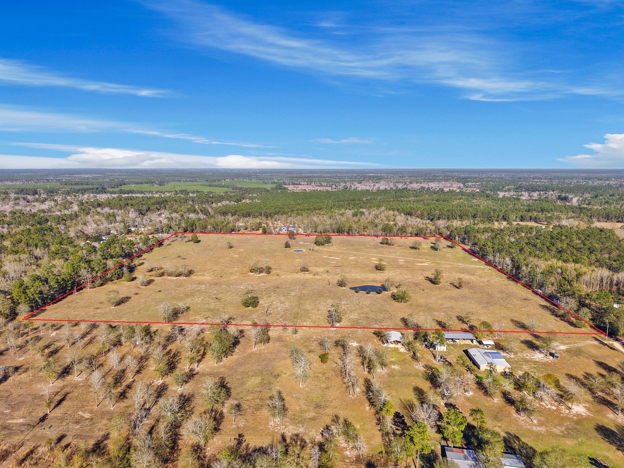 9789 North Walker Road Cleveland, TX 77328 - Photo 5 of 10 This a vast, mostly open landscape land dotted with mature trees, natural ponds, and gently rolling terrain—ideal for a custom estate, ranch, or recreational retreat.