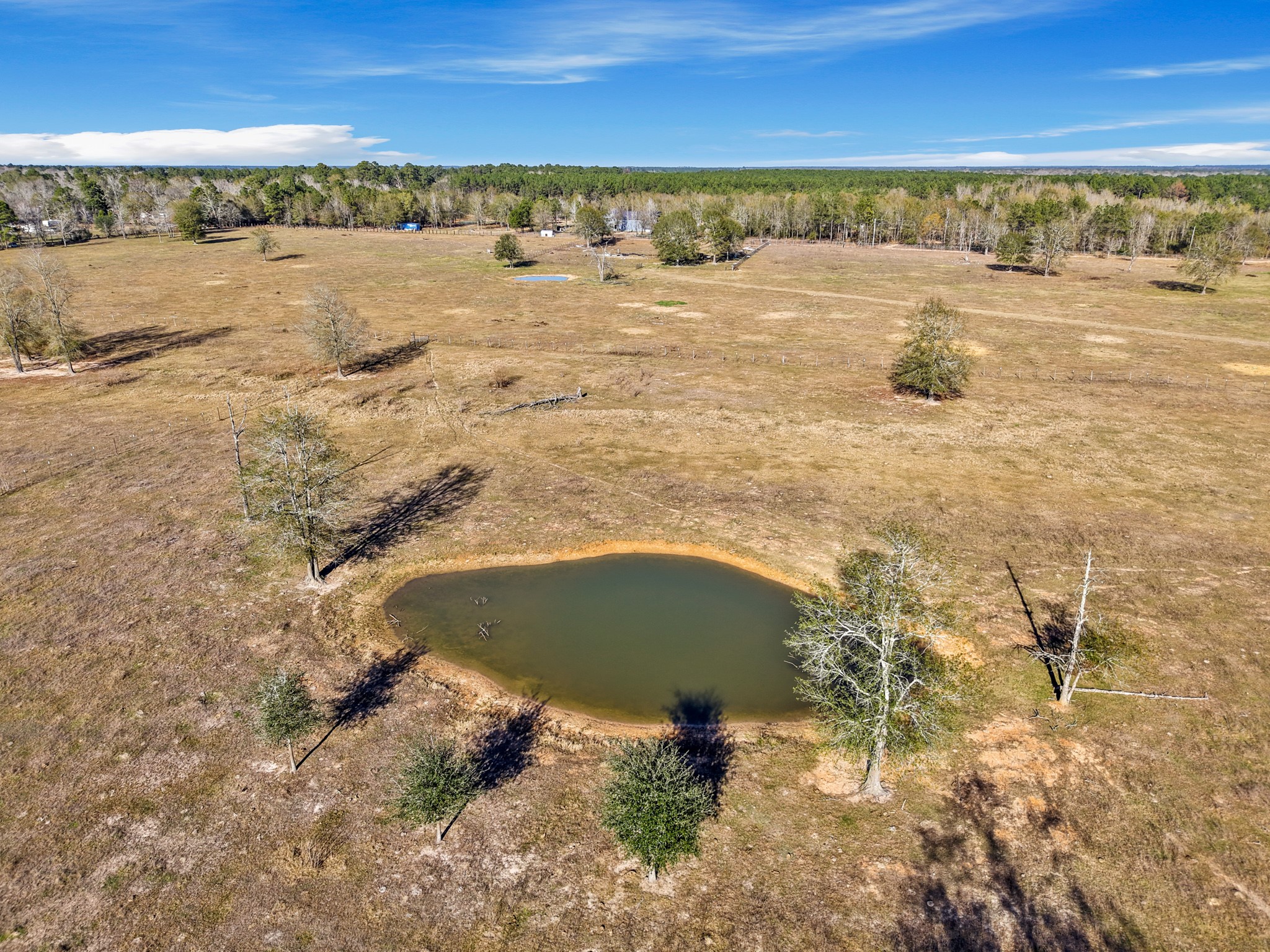 9789 North Walker Road Cleveland, TX 77328 - Photo 10 of 10 With a natural pond, this land balances a blend of usable space and natural beauty.