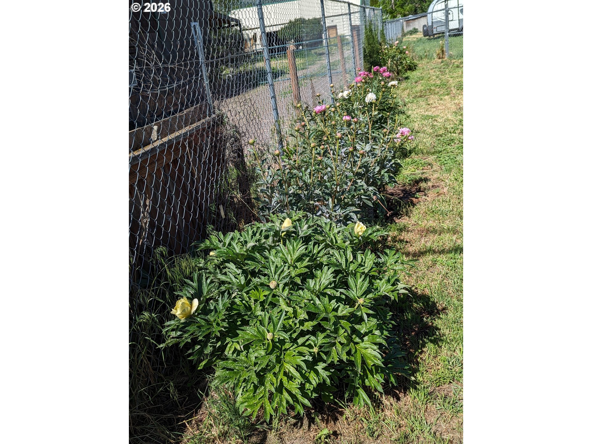 1100 South Main Street Union, OR 97883 - Photo 32 of 32