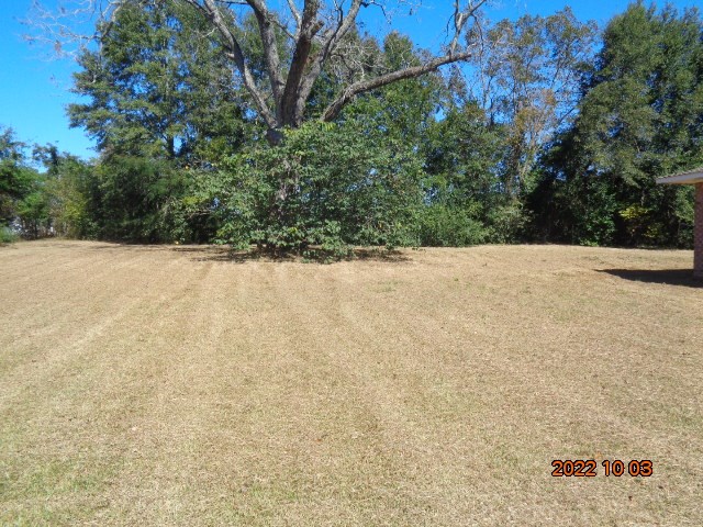 1881 Hodgesville Road Dothan, AL 36301 - Photo 55 of 56 Gallery Image 55