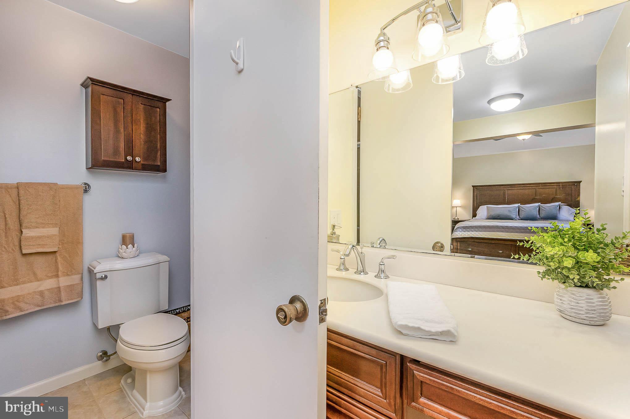 1062 Dr Jack Road Conowingo, MD 21918 - Photo 26 of 51 Vanity separate from toilet and shower