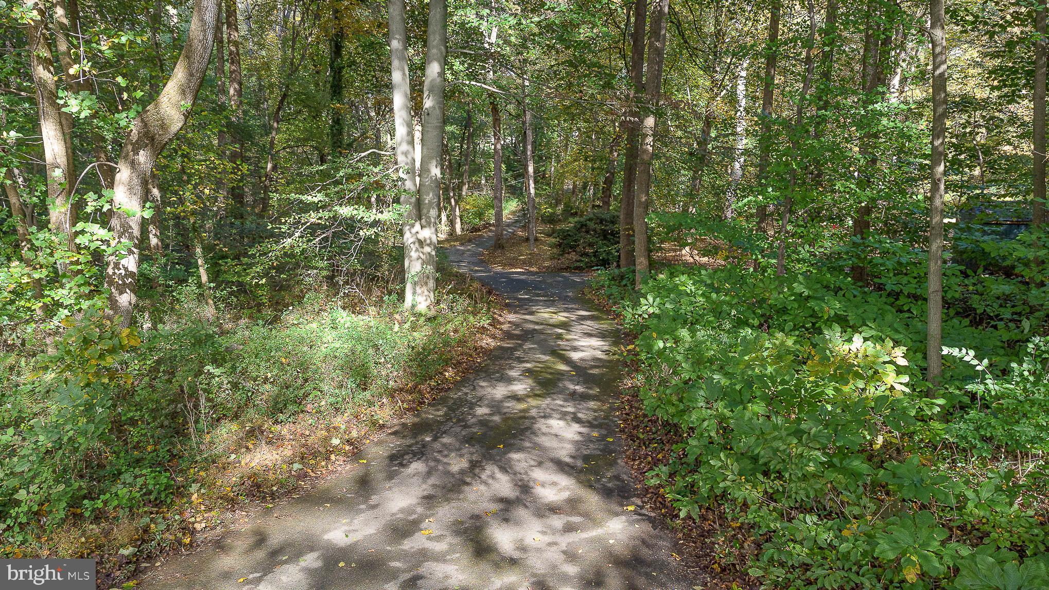 1062 Dr Jack Road Conowingo, MD 21918 - Photo 46 of 51 Private driveway