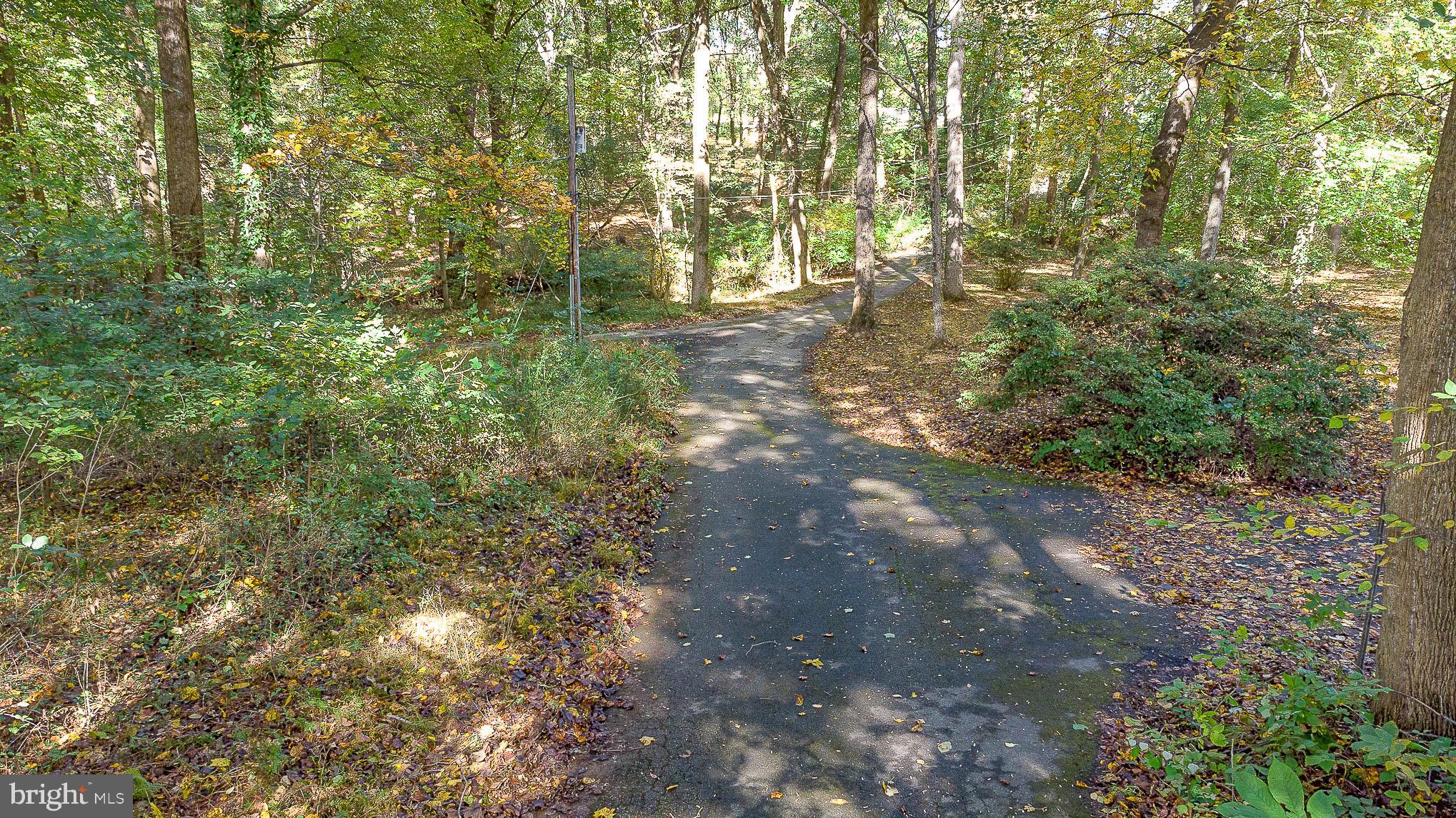 1062 Dr Jack Road Conowingo, MD 21918 - Photo 47 of 51 Extra parking for all your vehicles & visitors