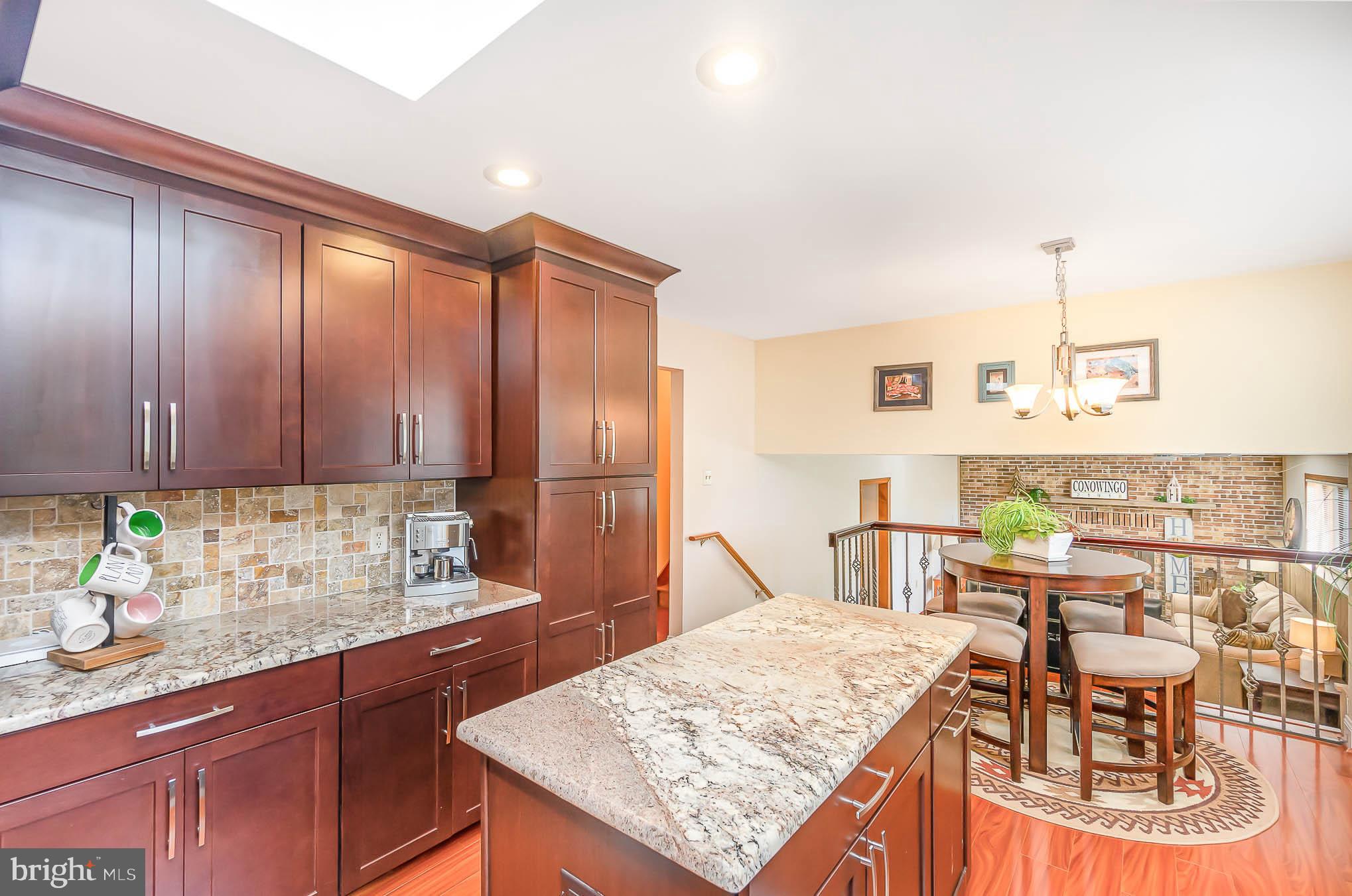 1062 Dr Jack Road Conowingo, MD 21918 - Photo 10 of 51 Fantastic Cabinetry in this modern kitchen