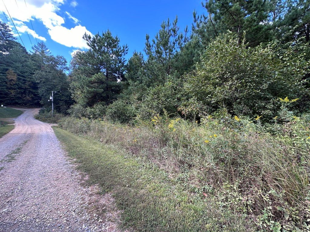 Tbd Ross Ridge Road Murphy, NC 28906 - Photo 3 of 13
