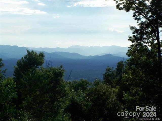 180 Britten Cove Road Weaverville, NC 28787 - Photo 2 of 48 Gallery Image 2