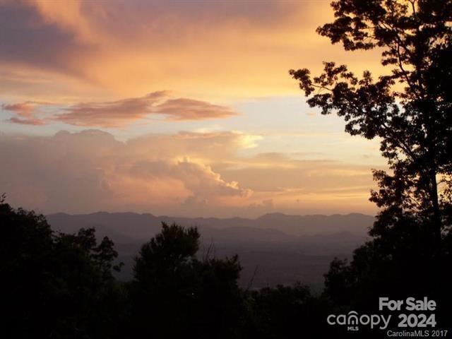 180 Britten Cove Road Weaverville, NC 28787 - Photo 3 of 48 Gallery Image 3