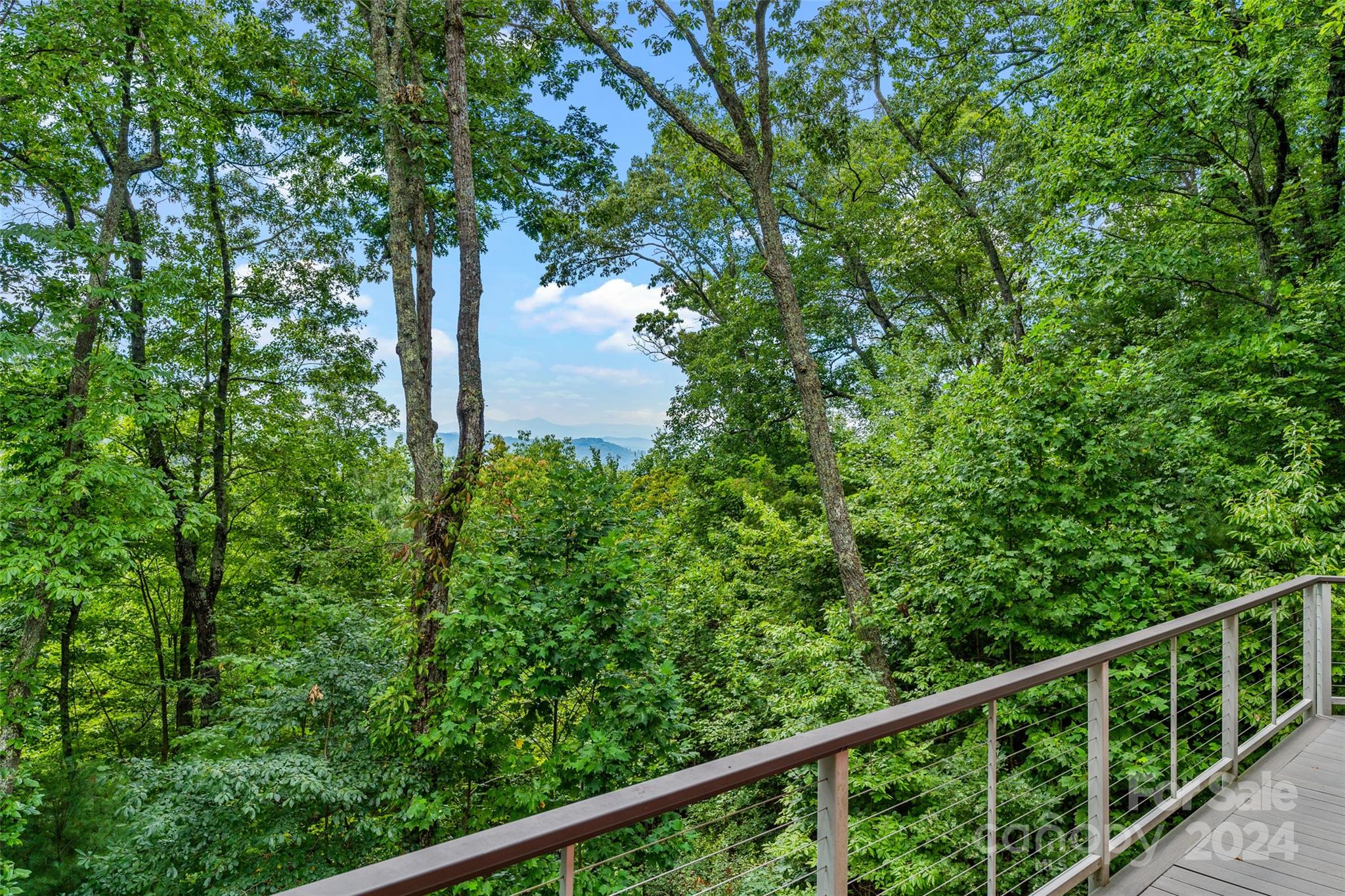 180 Britten Cove Road Weaverville, NC 28787 - Photo 4 of 48 Gallery Image 4