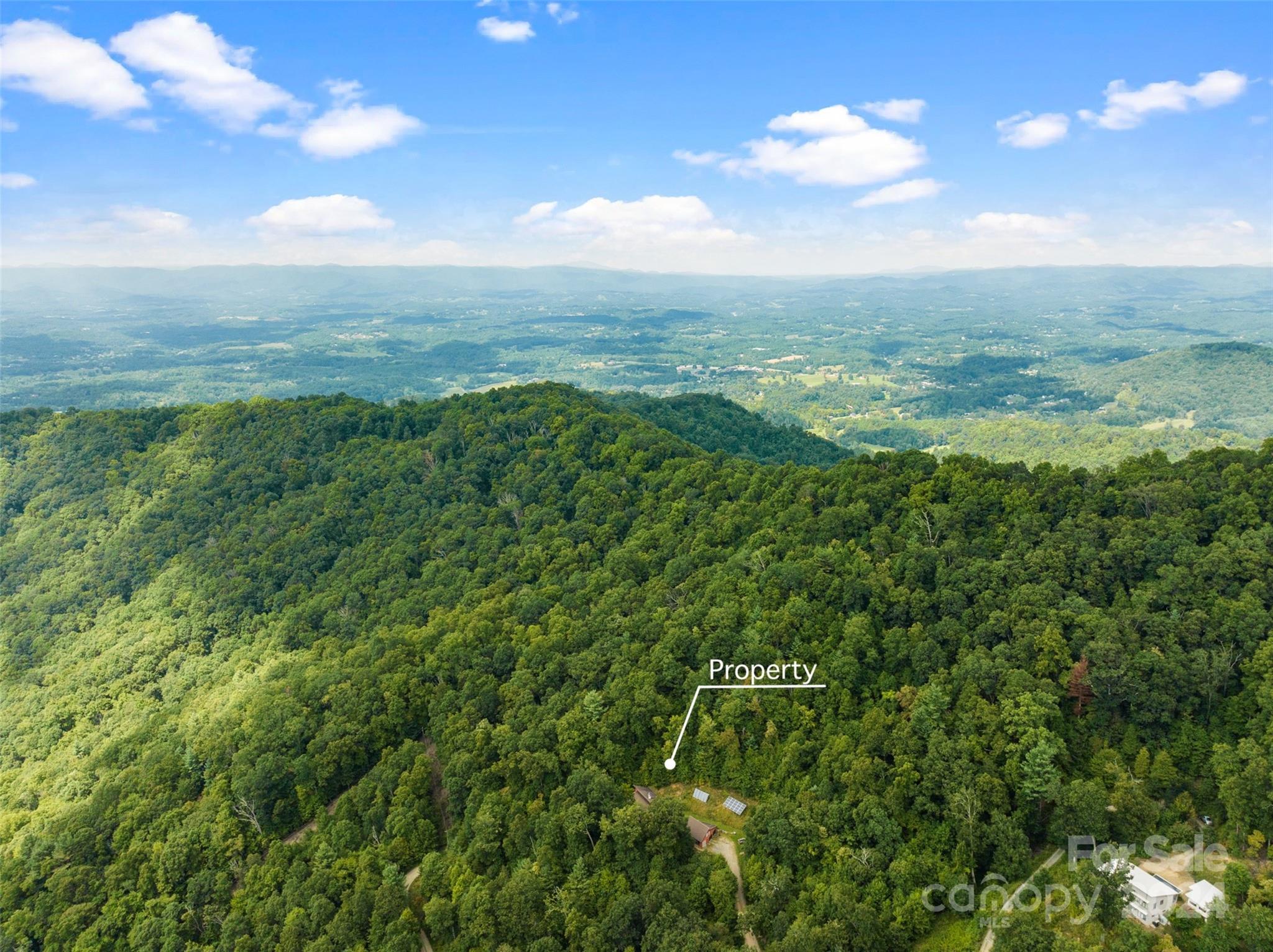 180 Britten Cove Road Weaverville, NC 28787 - Photo 46 of 48 Gallery Image 46