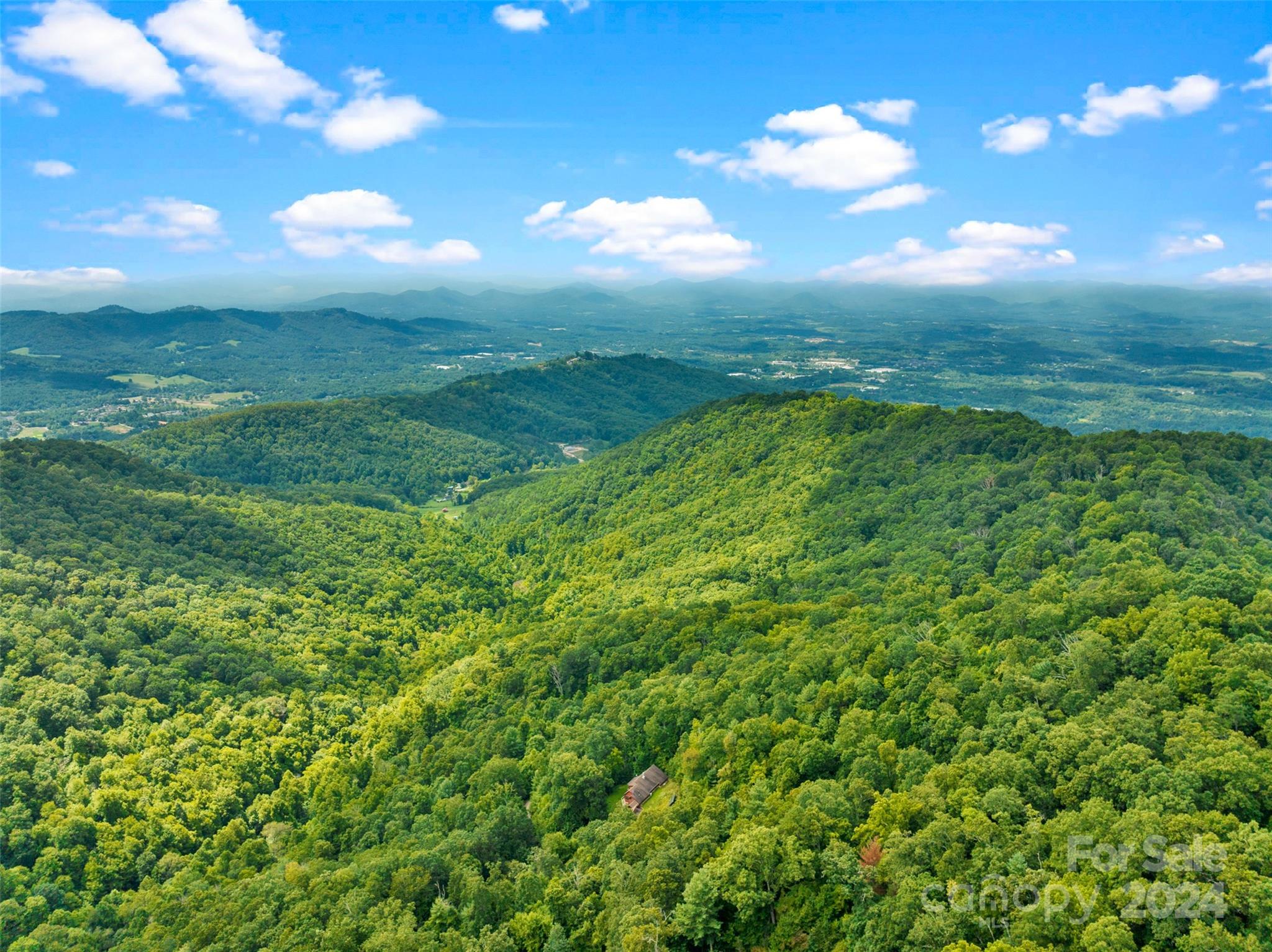 180 Britten Cove Road Weaverville, NC 28787 - Photo 48 of 48 Gallery Image 48