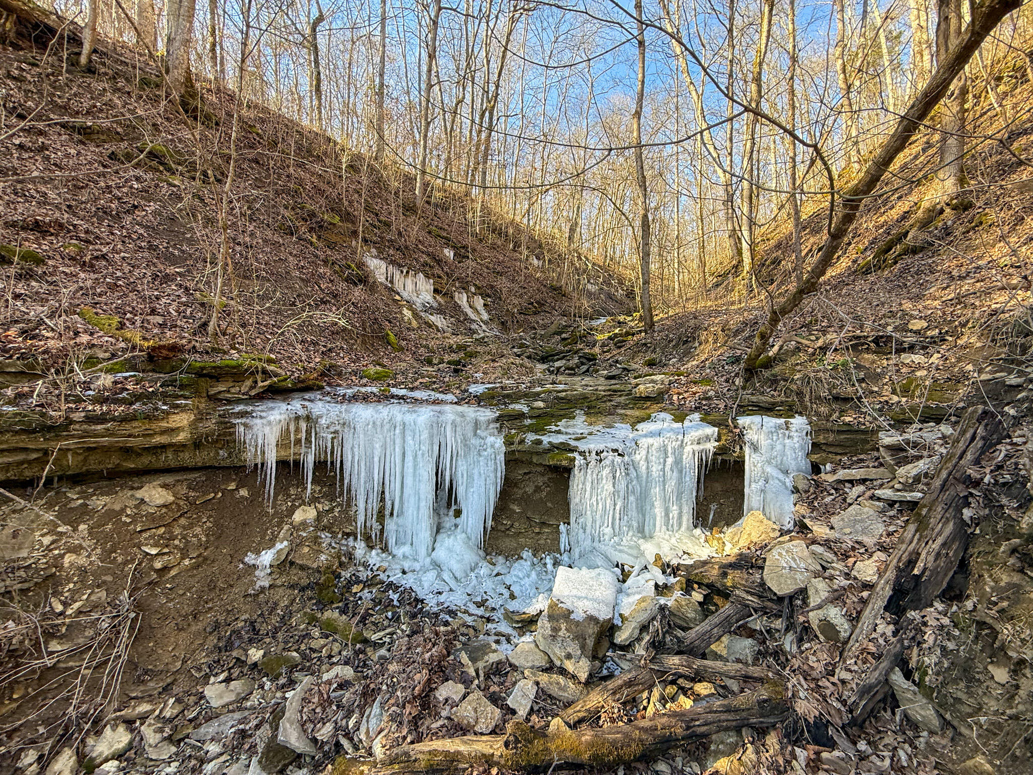 248 Sulphur Lick Road Frankfort, KY 40601 - Photo 6 of 50