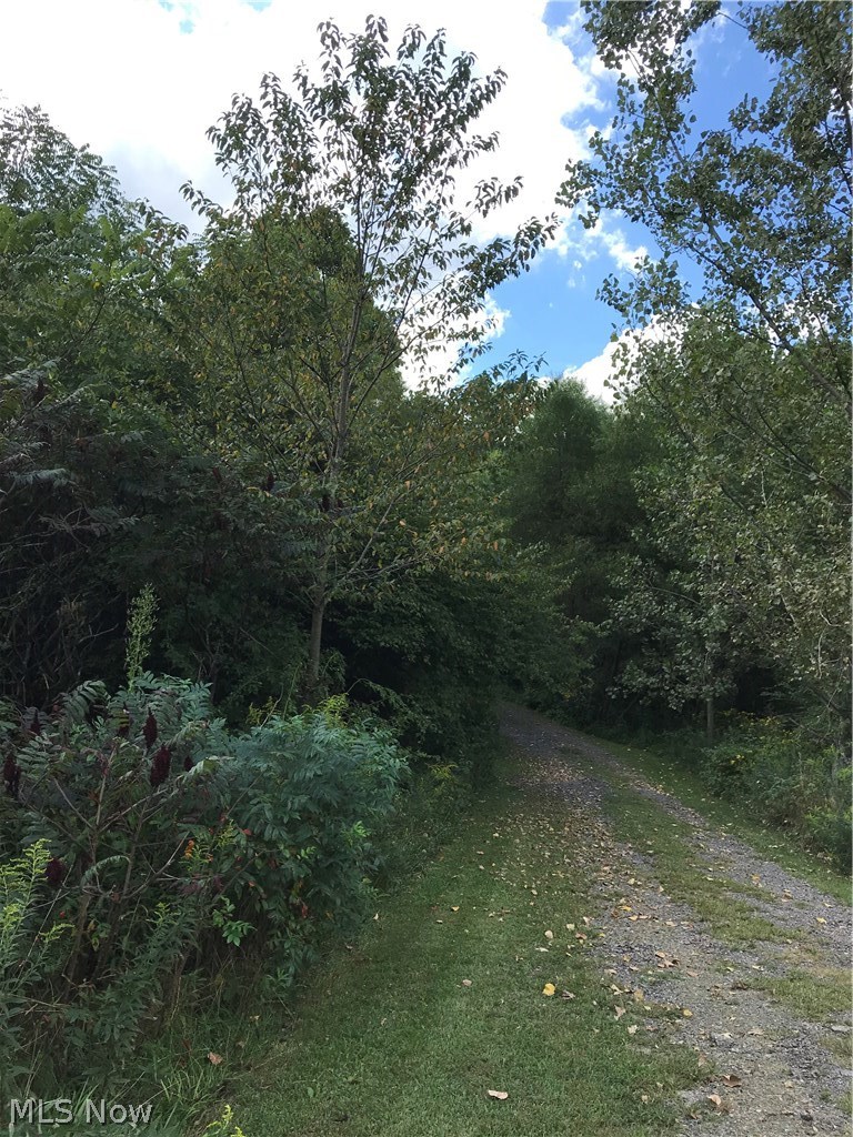 59125 Trail Run Road Byesville, OH 43723 - Photo 25 of 31 Gallery Image 25