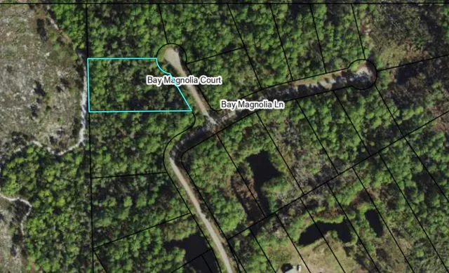 $75,000 | 146 Bay Magnolia Court, Carrabelle, FL 32322