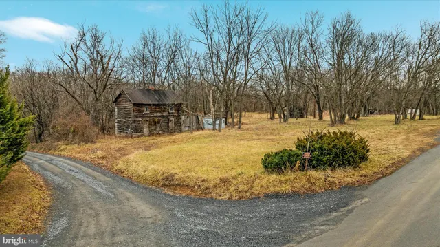a view of yard with trees