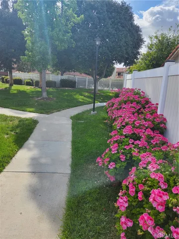 a picture of flowers