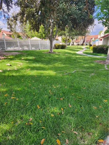 a view of a trees in a yard
