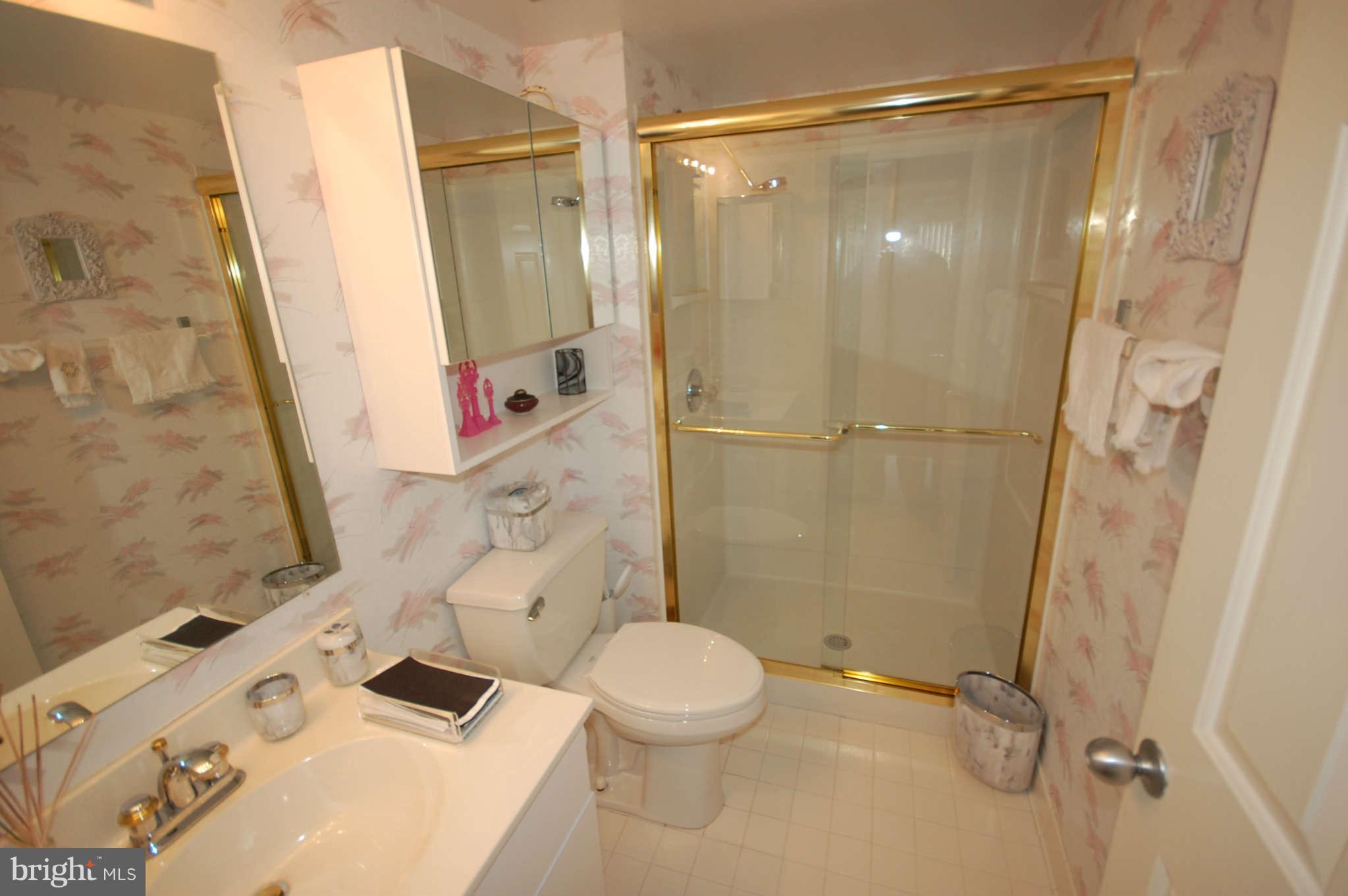 2903 Fallstaff Road, Unit 508 Baltimore, MD 21209 - Photo 20 of 21 Bath