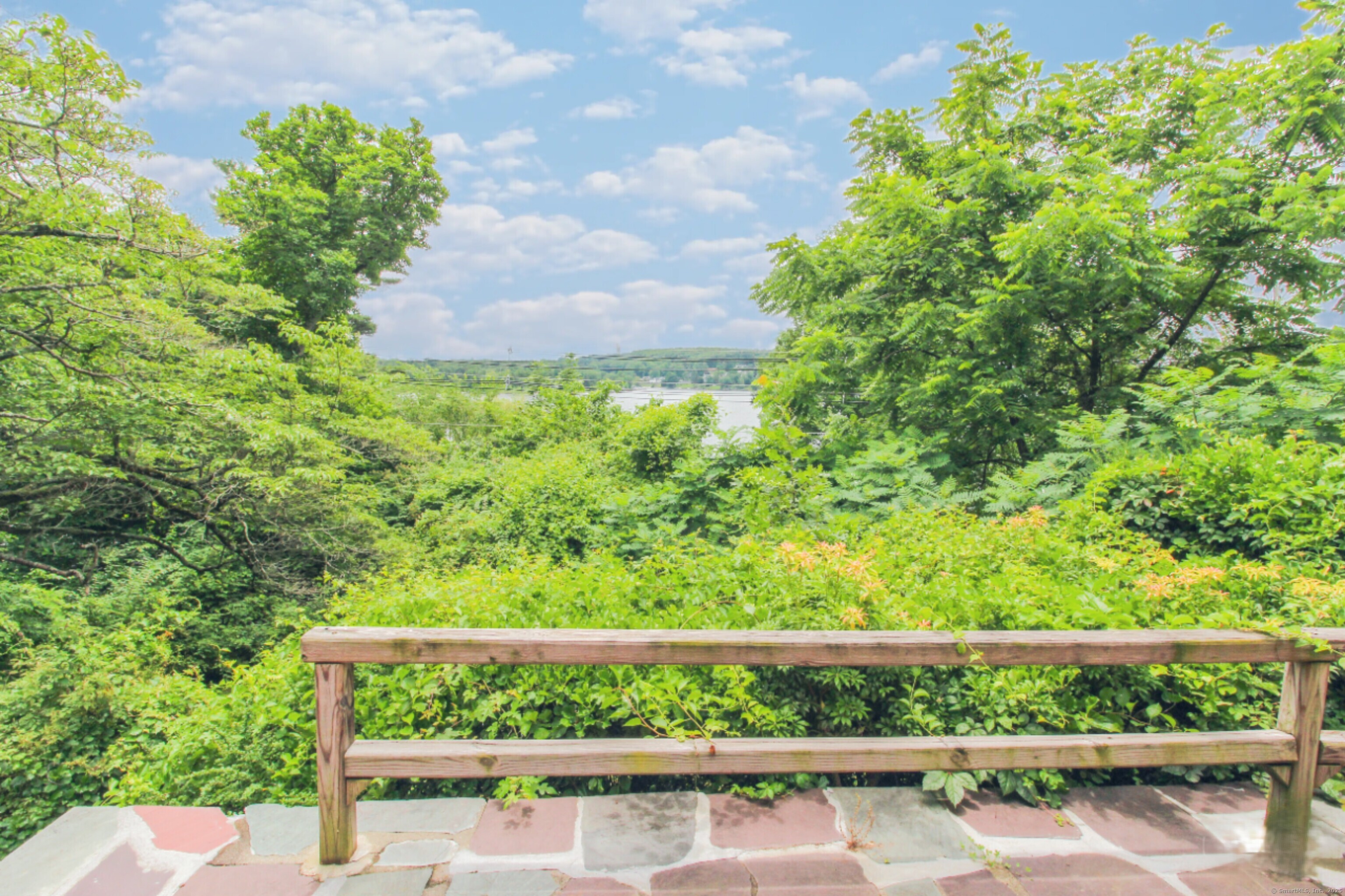 279 Candlewood Lake Road Brookfield, CT 06804 - Photo 21 of 40 a view of a yard with plants