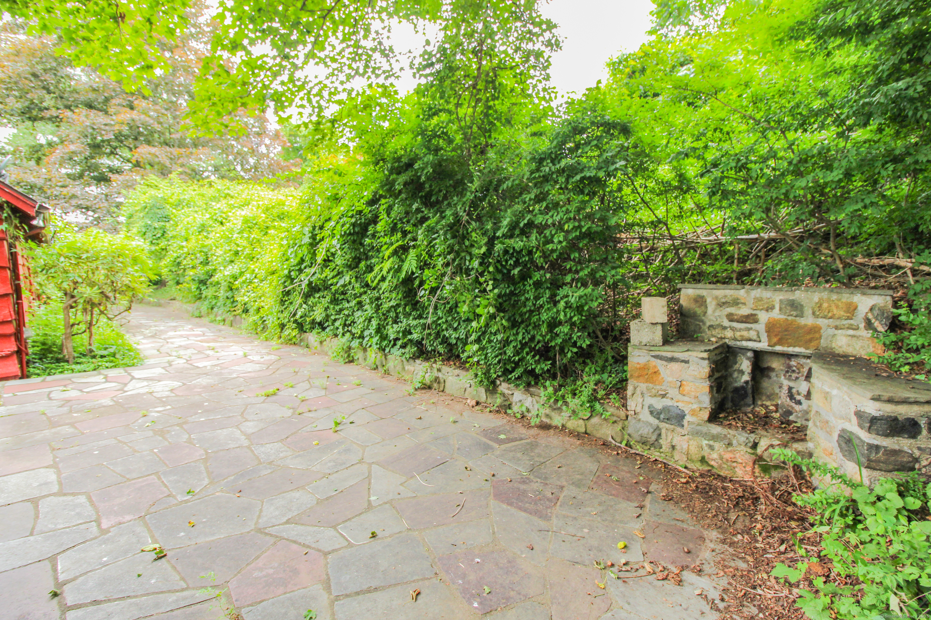 279 Candlewood Lake Road Brookfield, CT 06804 - Photo 32 of 40 a view of a yard with plants and large trees