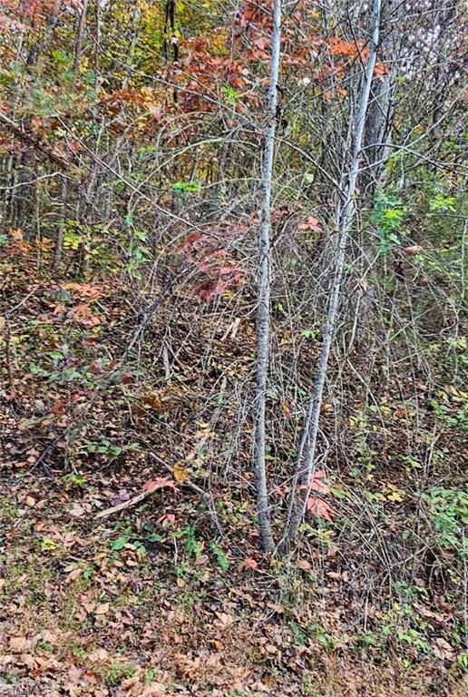Off Germantown Road Moravian Falls, NC 28654 - Photo 8 of 16 Gallery Image 8